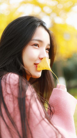 新有菜《新·不能说的秘密》